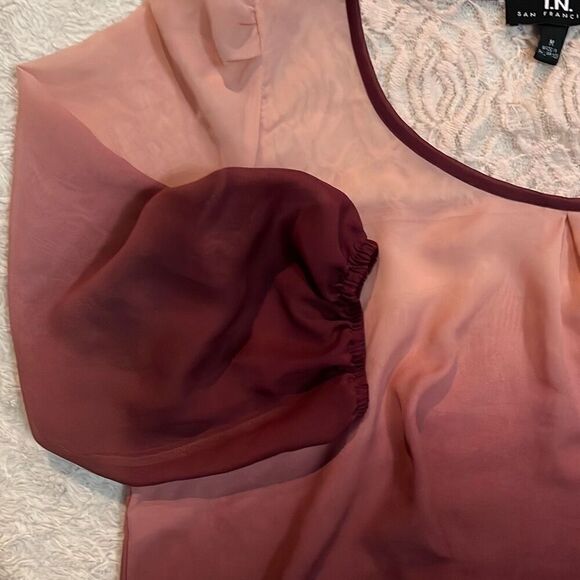 I.N. Sheer Blouse - Picture 3 of 8
